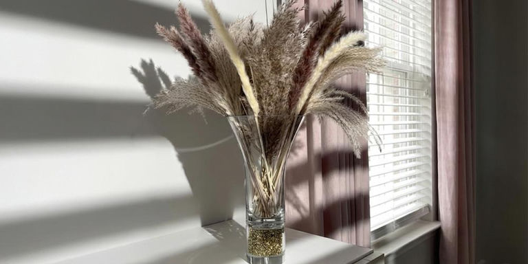 Sunlit glass vase filled with pampas grass on a white dresser by a window