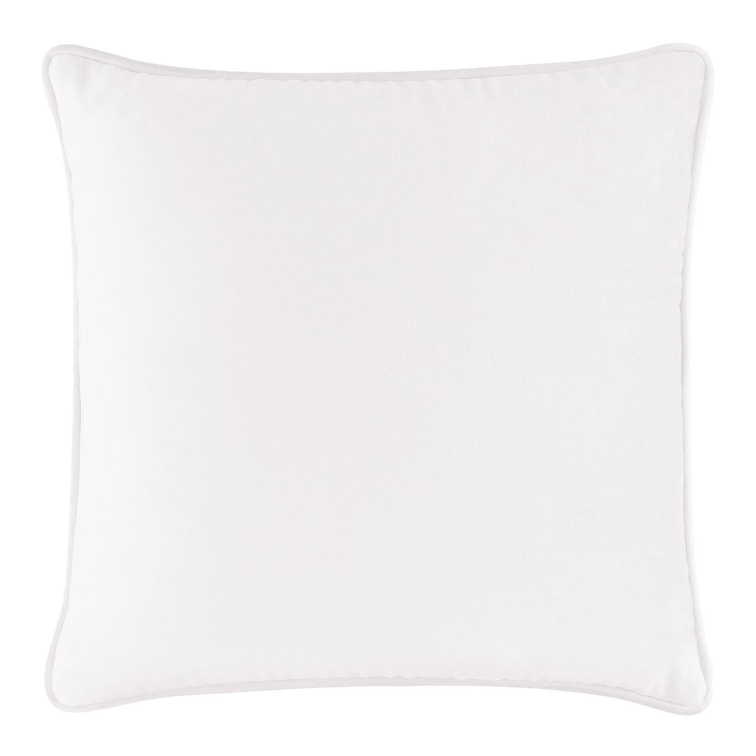Coordinating&#x20;Velvet&#x20;Pillow&#x20;&#x28;CLX&#x29;&#x20;