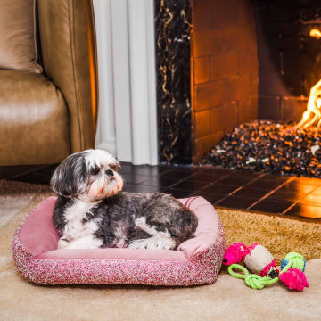 Luminous Pet Bed
