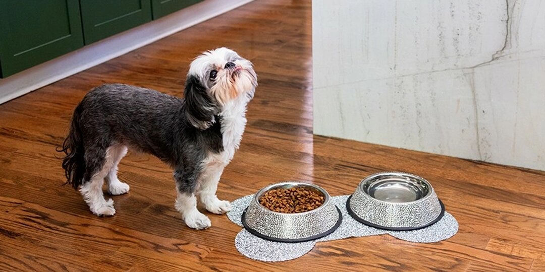 small&amp;&#x23;x20&#x3B;black&amp;&#x23;x20&#x3B;and&amp;&#x23;x20&#x3B;white&amp;&#x23;x20&#x3B;dog&amp;&#x23;x20&#x3B;standing&amp;&#x23;x20&#x3B;next&amp;&#x23;x20&#x3B;to&amp;&#x23;x20&#x3B;glitter&amp;&#x23;x20&#x3B;bone-shaped&amp;&#x23;x20&#x3B;placemat&amp;&#x23;x20&#x3B;with&amp;&#x23;x20&#x3B;rhinestone&amp;&#x23;x20&#x3B;dog&amp;&#x23;x20&#x3B;bowls